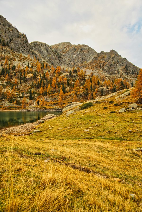 Photo Écologie : des solutions pour un avenir énergétique responsable